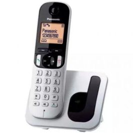 Panasonic KX-TGC210SP Teléfono Inalámbrico DECT Digital con Altavoz, Bloqueo de Llamadas No Deseadas, Modo Eco y Pantalla Ámbar, Plata