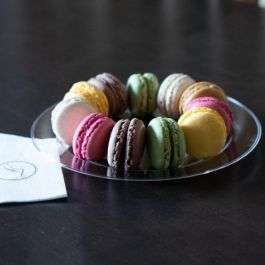 Algon Set-6 Plato Ps Transparente 16 cm (24 Unidades)