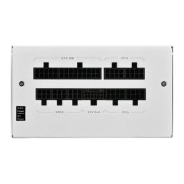 Sharkoon Rebel P20 Fuente de Alimentación 1000W ATX 3.1 ATX Blanco