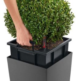 LECHUZA Jardiniere Cubico Alto 40 TODO EN UNO Carbón 18233 421494 LECHUZA Jardiniere Cubico Alto 40 TODO EN UNO Carbón 18233 421494