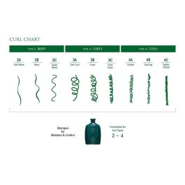 Champú Oribe 811913011713 250 ml