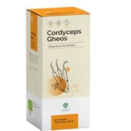 Cordyceps Gheos 90Cap. Precio: 39.5000001. SKU: B14S7KZQ5Z