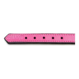 Gloria Collar Piel Acolchado Fuxia 40 cm x 20 mm Máxima Comodidad Suave Triple Capa