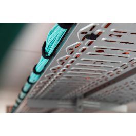 Digitus Klettband Kabelmanagement System, Pilzkopfband 2,5 m, Flausch y Klettband 5 m, Negro/Rojo, Autoadhesivo