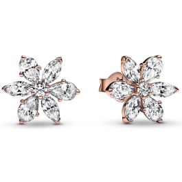 Pendientes Mujer Pandora 282407C01 Plata de ley 925 Precio: 122.68999974. SKU: B18SMW4R82