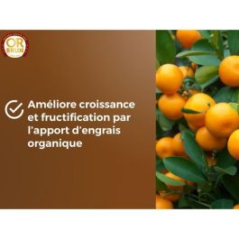 Or Brun OBRTAG20N Tierra para cítricos y plantas mediterráneas Gold Brown 20 L