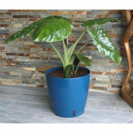 Riviera RIV3580796331061 Jardinera redonda EVA NEW Plástico Diámetro 31 cm Azul