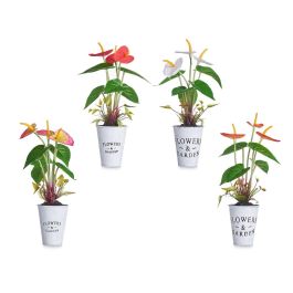 Planta Lirio Bote Metal Surtidos Ibergarden 15X34CM (12 Unidades) Planta Lirio Bote Metal Surtidos Ibergarden 15X34CM (12 Unidades)