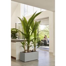 Jardinera Elho Vivo Next Long 60 - Gris - L 59 x B 30 x H 29 cm - interior/exterior - 100% reciclado