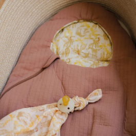 Domiva Nido para Bebé Honey Moon DOM1732578120039 75 cm