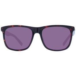 Gafas de Sol Hombre Guess GU00024 5652E Gafas de Sol Hombre Guess GU00024 5652E