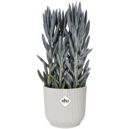 Vibras de maceta de flores redondas - Plastic - Ø22 - Blanco Vibras de maceta de flores redondas - Plastic - Ø22 - Blanco