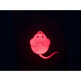 Puntero Láser Trixie