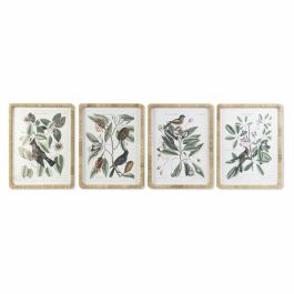 Cuadro Shabby DKD Home Decor Verde Beige 2.5 x 65 x 50 cm (4 Unidades)