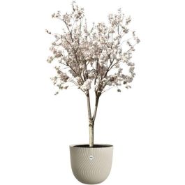 ELHO ELH8711904534974 Maceta Sereh Round Beige, Ø 47x40 cm, 100% reciclada ELHO ELH8711904534974 Maceta Sereh Round Beige, Ø 47x40 cm, 100% reciclada