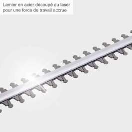 Scheppach ETHT500 Cortasetos Eléctrico Telescópico