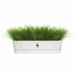 Elho ELH8711904357672 Plantera Ovalada Greenville de Plástico, 70 cm de Diámetro, Verde Hoja Elho ELH8711904357672 Plantera Ovalada Greenville de Plástico, 70 cm de Diámetro, Verde Hoja
