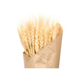 Giftdecor Ramillete Trigo Natural Surtidos Col 10 cm x 50 cm x 10 cm