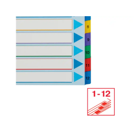 Indice Esselte Cartulina Mylar Borrable Numerico A4+ Pestañas 1-12 11 Taladros