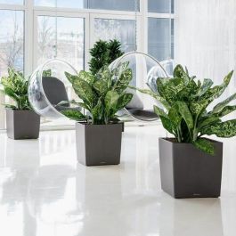 Lechuza LEC4008789165602 Maceta Cube Premium 50 blanco brillante resistente a la intemperie y a los rayos UV