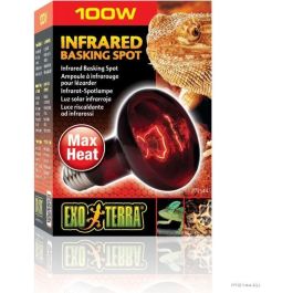 Lámpara infrarroja Baskin Spot de EXO TERRA - 100 W - Para terrario Lámpara infrarroja Baskin Spot de EXO TERRA - 100 W - Para terrario