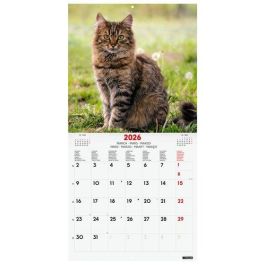 Calendario (2026) Finocam Internacional Pared Imagenes Mensual Para Escribir 300X300 Cats Precio: 8.59000054. SKU: B18B49EWJL