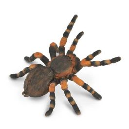 Collecta Tarántula Roja Mexicana L 88338 Réplica a Escala Pintada a Mano para Niños +3 Años Precio: 7.9618. SKU: B17TBLGQK7