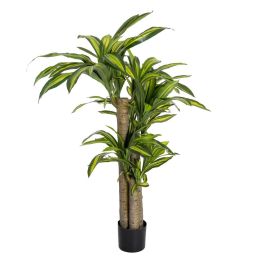 Planta Dracaena Verde Poliester 100 X 140 cm Precio: 91.0041. SKU: B19F29RYXN