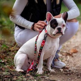 Cerdá Correa premium para perros Marvel Talla S Roja Cerdá Correa premium para perros Marvel Talla S Roja