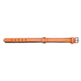 Gloria Collar Piel Acolchado 55 cm X 25 mm Naranja para Perro