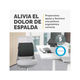 Fellowes 100119852 Respaldo Lumbar Acolchado Espuma Postural Ergonómico Negro