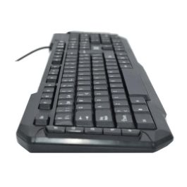 Teclado Inalámbrico Trust KBDRILEUSB2 Negro