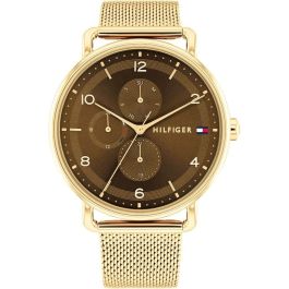 Reloj Mujer Tommy Hilfiger 1782663 Dorado (Ø 40 mm) Precio: 161.49999954. SKU: B1BPVH9KQ3