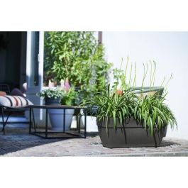 Bandeja de patio ELHO Vibia 80 - Gris antracita - Exterior - L 34.2 x W 77.4 x H 33.2 cm Bandeja de patio ELHO Vibia 80 - Gris antracita - Exterior - L 34.2 x W 77.4 x H 33.2 cm