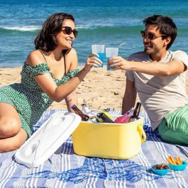 Nevera Portátil Rígida Lilty InnovaGoods 15 L