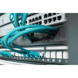 Digitus Panel de Gestión de Cables con Cepillo Abierto 1U, para Armario Rack de Red/Servidor 19 pulgadas, Negro RAL 9005