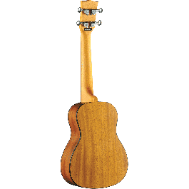 Ukelele Duo Concerto
