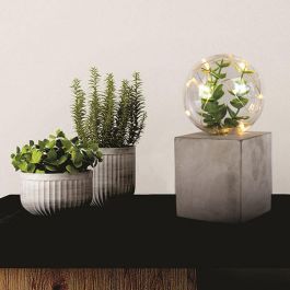 Lámpara Led Con Planta Home Deco Factory