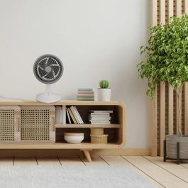 AVANT Force Ventilador de Sobremesa, 90W, 12 Pulgadas (30 cm), Ideal para Oficina u Hogar