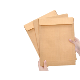 Liderpapel Sobre Bolsa Kraft N.5 Din C5 162x229 mm Tira de Silicona Caja de 250 Unidades