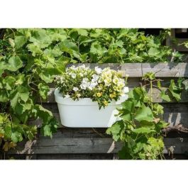 Jardinera+gancho - GARDEN ID Star - Blanco 50 x 21 cm - Fácil fijación - Reserva de agua - Reciclado y 100% reciclable Jardinera+gancho - GARDEN ID Star - Blanco 50 x 21 cm - Fácil fijación - Reserva de agua - Reciclado y 100% reciclable