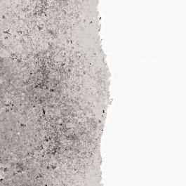 Ripolin Imprimación antihumedad blanco mate 0,75l Ripolin Imprimación antihumedad blanco mate 0,75l