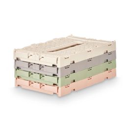 Caja Plegable Multiuso Kipit 4L, 26.6x17x3 cm, Colores Surtidos (24 Unidades) Caja Plegable Multiuso Kipit 4L, 26.6x17x3 cm, Colores Surtidos (24 Unidades)