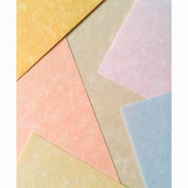 Michel Papel Parchment 180 gr A4 Pack 100 Unidades Blanco Precio: 19.49999942. SKU: B13WG3DSME