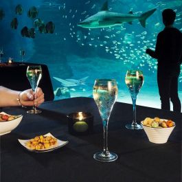 Bol Porcelana Appetizer Filet Arcoroc 9,5 cm (6 Unidades)