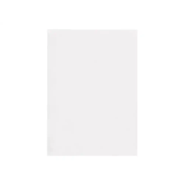 Liderpapel Cartulina A3 180g/m2 Blanco Paquete 30 Hojas en Carpeta Dossier Transparente con Cierre