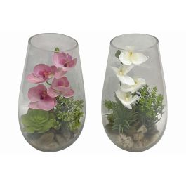 Planta Shabby DKD Home Decor Rosa Blanco 15 x 25 x 15 cm (2 Unidades) Precio: 30.59000032. SKU: B1DNJX522E