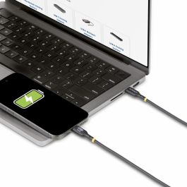 Cable USB Startech USB2EPR4M Negro Cable USB Startech USB2EPR4M Negro