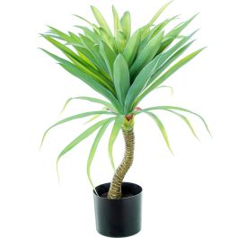 Planta Decorativa Alexandra House Living Plástico Yuca 70 cm