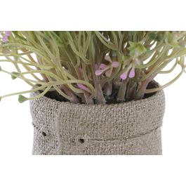 Planta DKD Home Decor Blanco Marron 20 x 19 x 20 cm (4 Unidades)